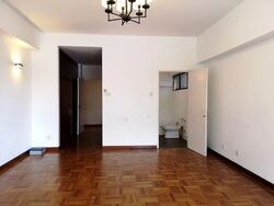 The Cairnhill (D9), Condominium #597331911